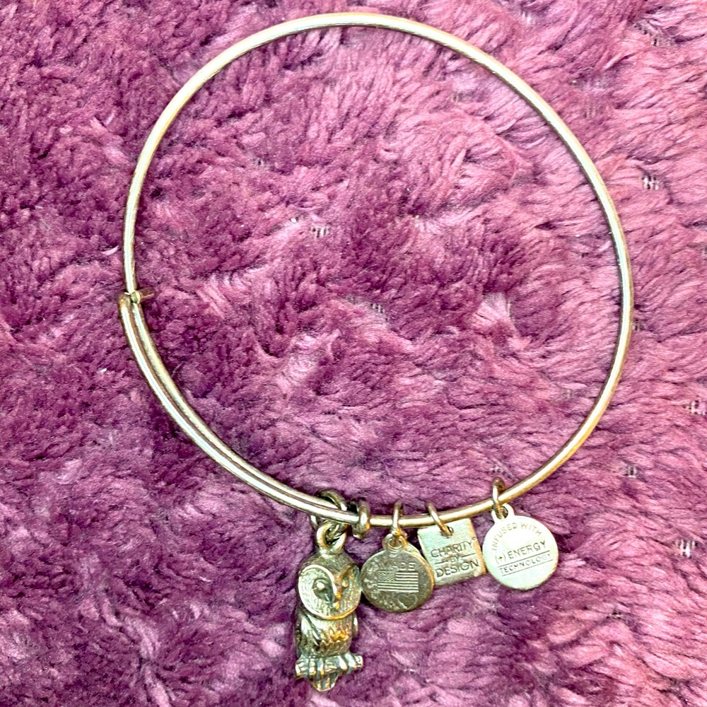 🦉Alex and Ani Silver Owl Bracelet Bangle